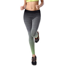 women-high-waist-s-pants-fitness-skinny-slim-fit-trousers-joggers-4-colors BBL