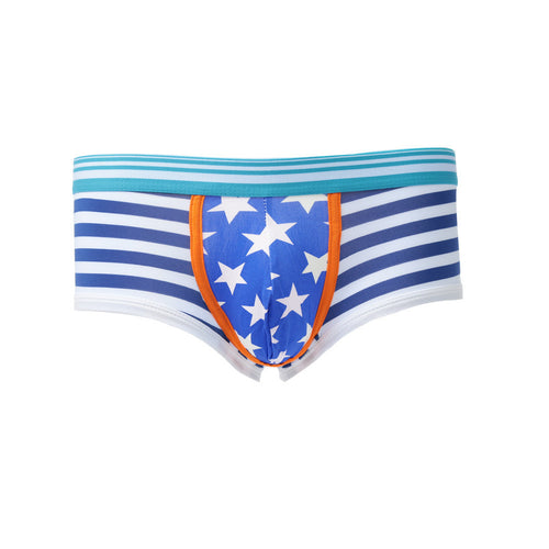 gay-underwear-mens-briefs-stripe-print-u-convex-pouch-low-waist-cotton-panties-men-shorts-underpants BBL