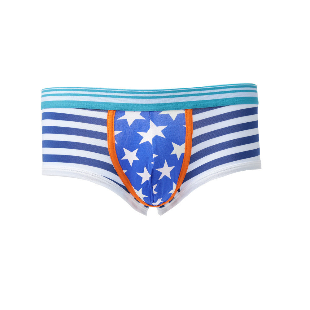 gay-underwear-mens-briefs-stripe-print-u-convex-pouch-low-waist-cotton-panties-men-shorts-underpants BBL