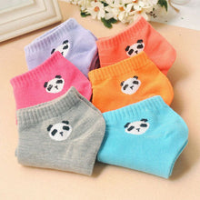 new-fashion-women-socks-panda-pattern-cute-cartoon-candy-color-socks-with-y3 BBL