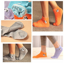 new-fashion-women-socks-panda-pattern-cute-cartoon-candy-color-socks-with-y3 BBL