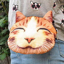 big-discount-cute-mini-bag-for-women-cat-animal-print-crossbody-bag-zipper-closure-small-shoulder-chain-bag-messenger-bag BBL