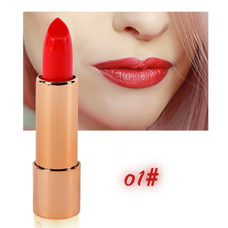 brand-fashion-beauty-makeup-lipsticks-with-mirror-waterproof-easy-to-wear-lip-sticks-balm-cosmetic-matte-maquiagem BBL