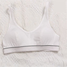 fashion-women-100-cotton-bust-push-up-bra-underwear-bra-70-75-80-85-size-32-34-36-38 BBL