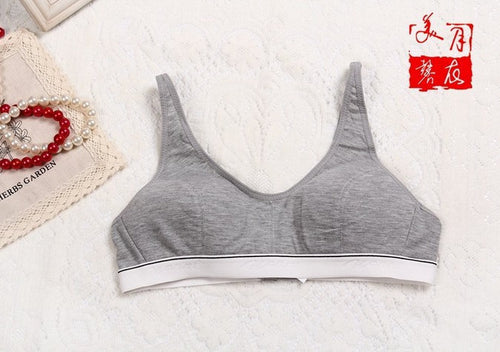 fashion-women-100-cotton-bust-push-up-bra-underwear-bra-70-75-80-85-size-32-34-36-38 BBL
