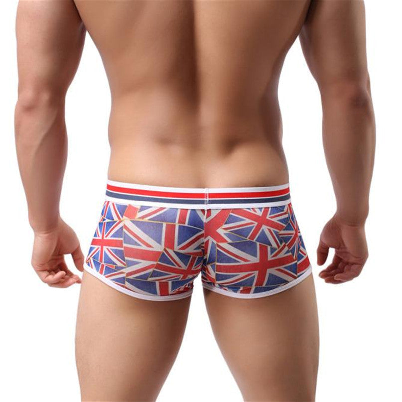 Underwear Men Sexy Low Waist Translucent Boxers Breathable Underpants