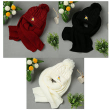 knitted-women-hat-scarf-set-two-piece-set-fashion-gorros-bonnet-acrylic-beanie-animal-embroidery-pom-pom-cool-knitted-cap BBL