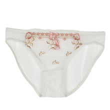 pro-sexy-women-underwear-suit-push-up-plunge-bra-sets-ladies-lace-floral-embroidery-lingerie-bras-panties-le2 BBL