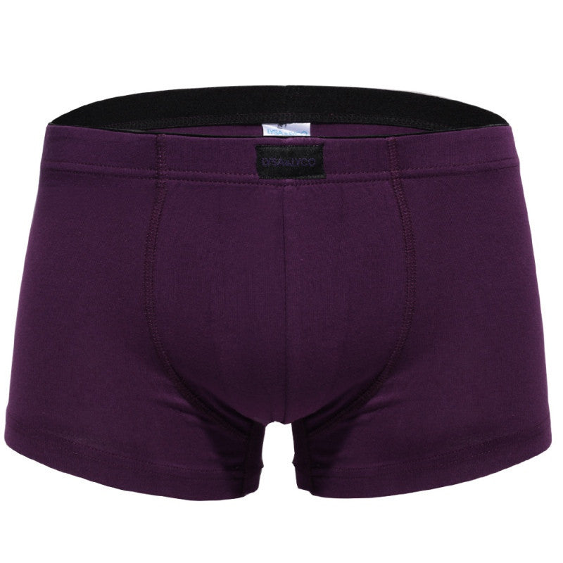 sexy-boxers-men-underwear-trunks-shorts-bulge-pouch-comfortable-underpants-boxer-homme BBL