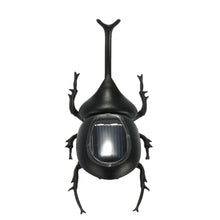 solar-beetle-cute-interesting-kids-toys-solar-powered-energy-beetle-original-educational-solar-toys-for-children BBL