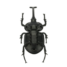 solar-beetle-cute-interesting-kids-toys-solar-powered-energy-beetle-original-educational-solar-toys-for-children BBL