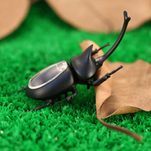 solar-beetle-cute-interesting-kids-toys-solar-powered-energy-beetle-original-educational-solar-toys-for-children BBL