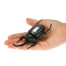 solar-beetle-cute-interesting-kids-toys-solar-powered-energy-beetle-original-educational-solar-toys-for-children BBL
