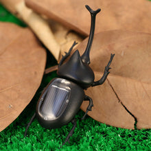 solar-beetle-cute-interesting-kids-toys-solar-powered-energy-beetle-original-educational-solar-toys-for-children BBL